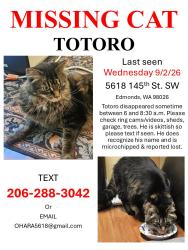 Lost Male Cat last seen 145th street sw and 56th., Edmonds, WA 98026