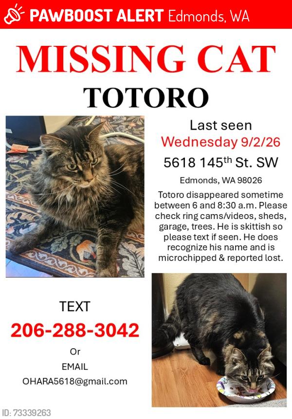 Lost Male Cat last seen 145th street sw and 56th., Edmonds, WA 98026
