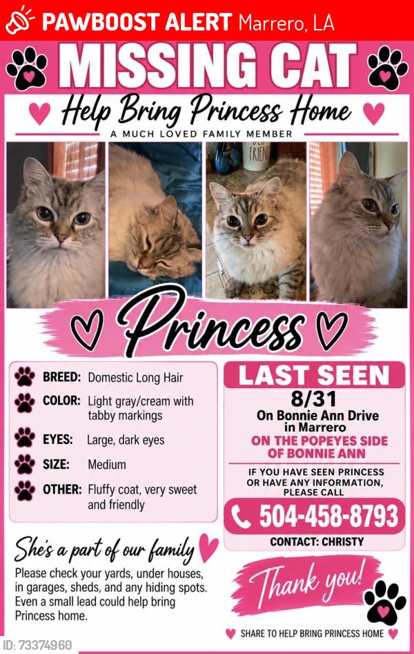 Lost Female Cat last seen Bonnie Ann dr marrero behind Popeyes, Marrero, LA 70072