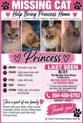 Lost Female Cat last seen Bonnie Ann dr marrero behind Popeyes, Marrero, LA 70072