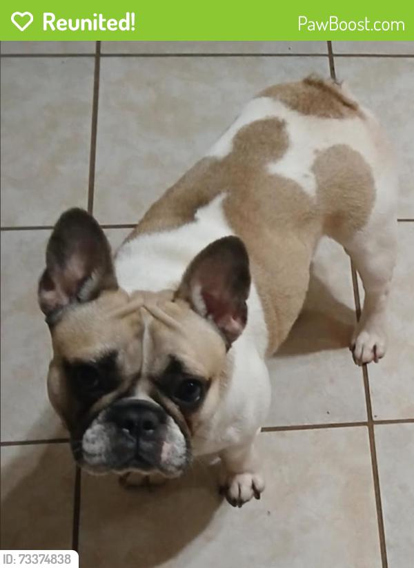 Reunited Female Dog last seen 6th St, Holly Hill, FL 32117, USA, Holly Hill, FL 32117