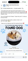 Reunited Female Dog last seen Silver Creek Circle and River Trace, Richmond, TX 77406