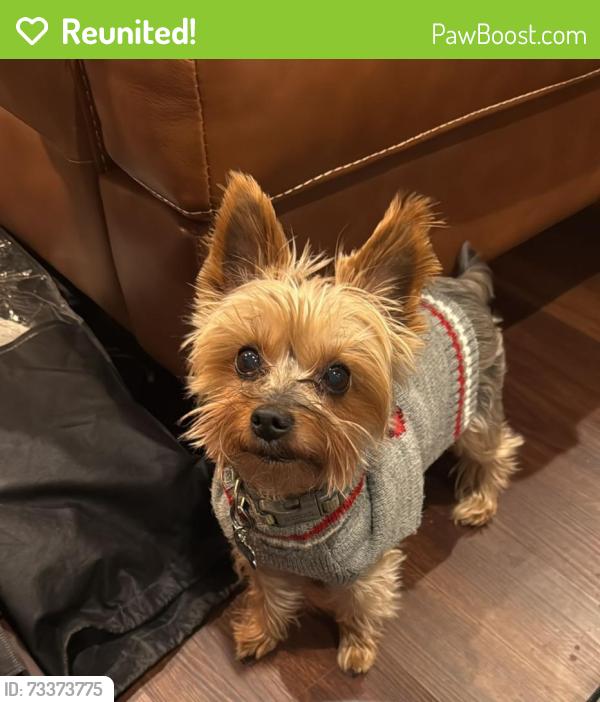 Reunited Male Dog last seen Worley or Memorial Drive, The Colony, TX 75056