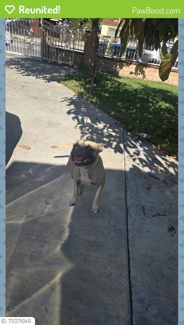 Reunited Male Dog last seen Near San Angelo Park, La Puente, CA 91744