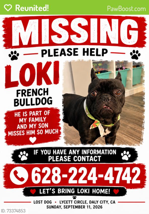 Reunited Male Dog last seen Lycett circle, Daly City, CA 94015