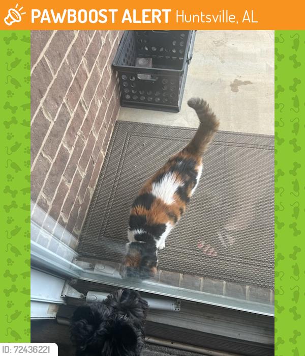 Found/Stray Unknown Cat last seen Bell Road - Slate Dr Sw - Farley Community, Huntsville, AL 35803