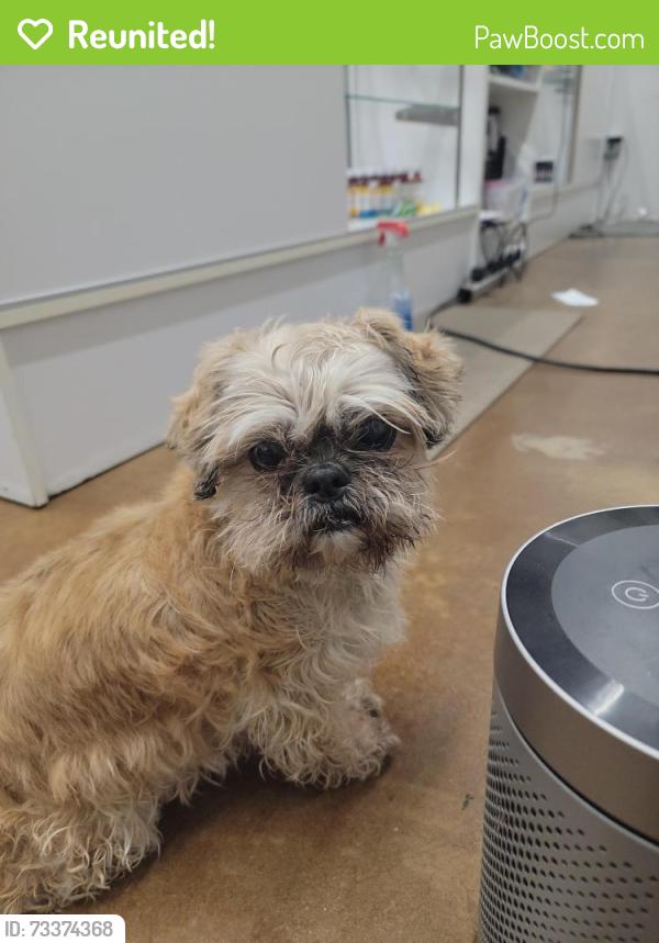 Reunited Female Dog last seen Ft . Worth and Royert st, Colorado Springs, CO 80903