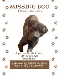 Lost Female Dog last seen Hogan field, Little Rock, AR 72204