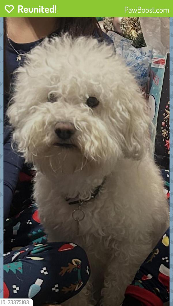 Reunited Female Dog last seen Near Criss Ave, Fontana, CA 92335, USA, Fontana, CA 92335