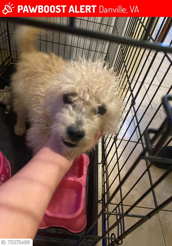 Lost Female Dog last seen 6steer, Danville, VA 24540
