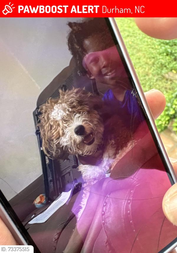 Lost Male Dog last seen Near Masondale ave, Durham, NC 27707