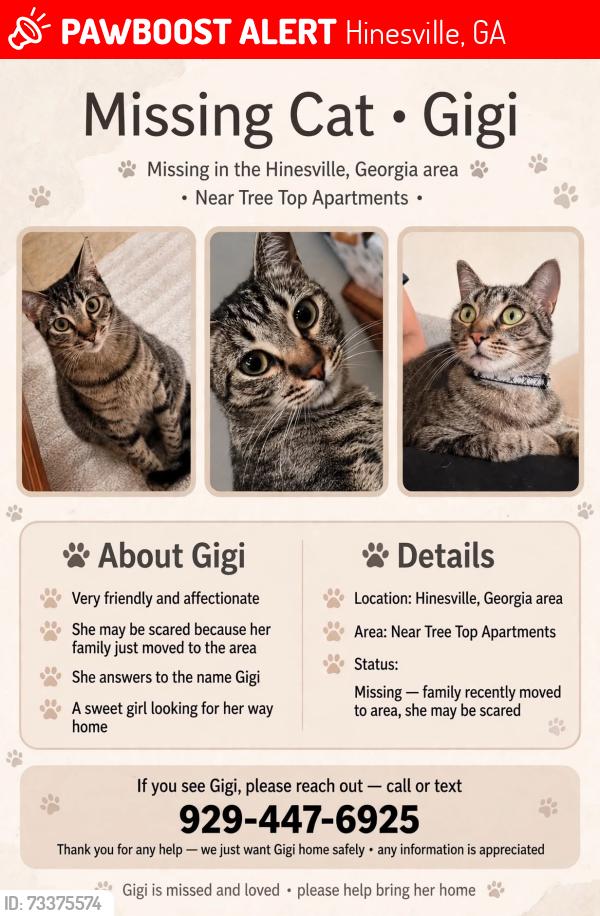 Lost Female Cat last seen Close to a school, Hinesville, GA 31313