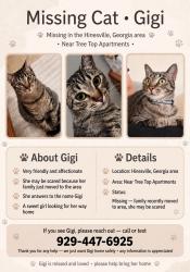 Lost Female Cat last seen Close to a school, Hinesville, GA 31313