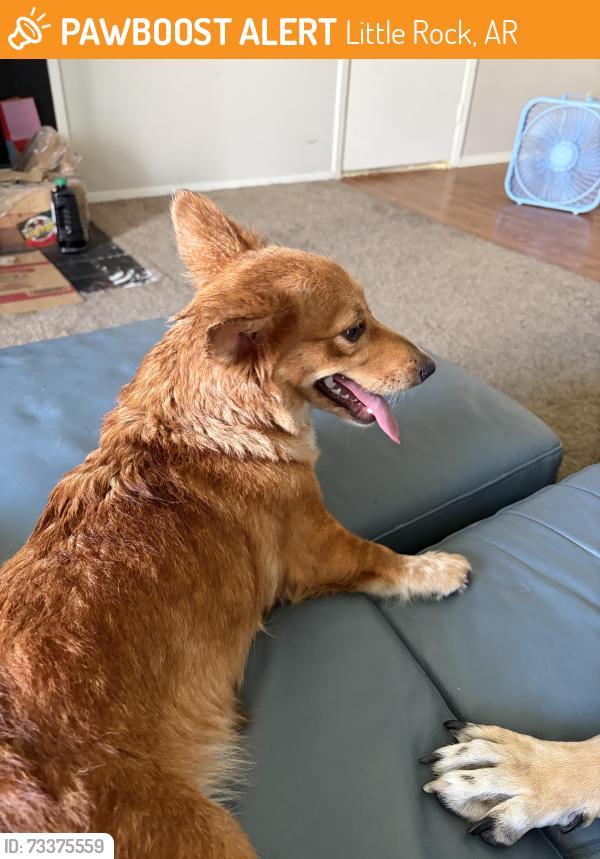 Found/Stray Female Dog last seen Near Colonel Glen Road, Little Rock, AR 72204