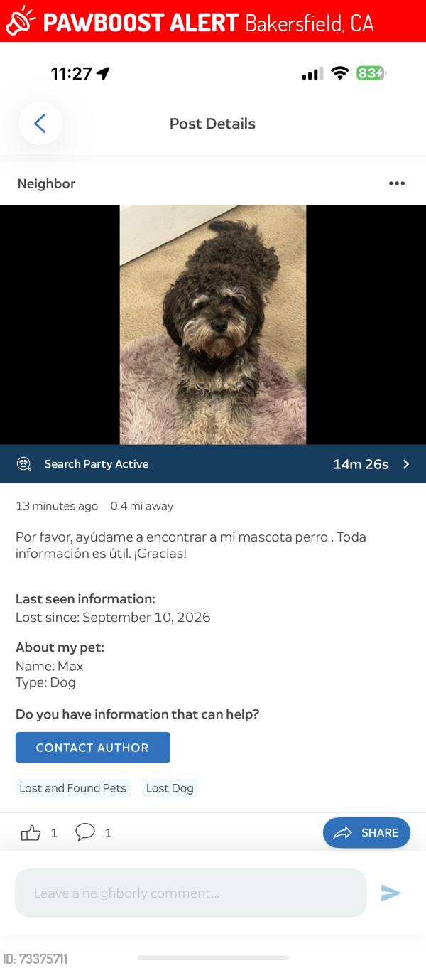 Lost Male Dog last seen Eve st and union, Bakersfield, CA 93307