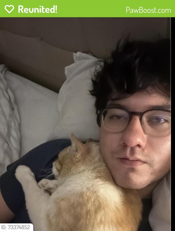 Reunited Male Cat last seen Guerrero St, San Francisco, CA 94103