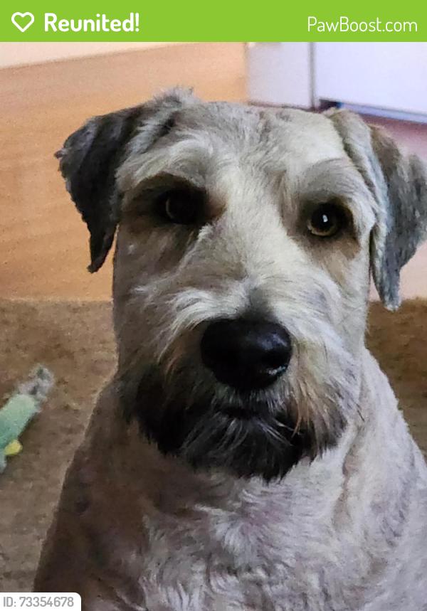 Reunited Male Dog last seen I - 215 West bound at 1200 West Murray Utah, Taylorsville, UT 84118