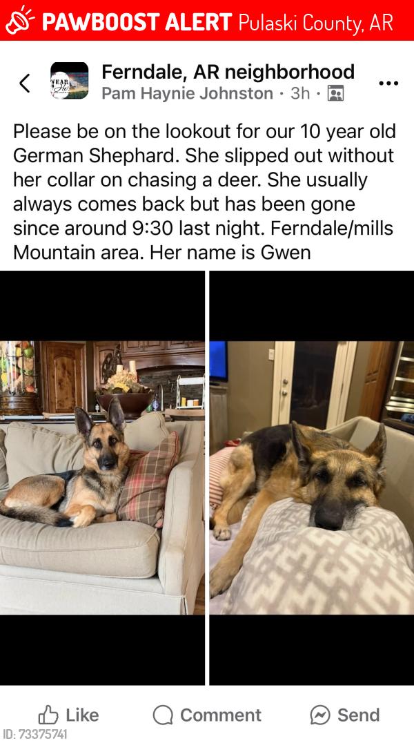 Lost Female Dog last seen Ferndale, Pulaski County, AR 72223