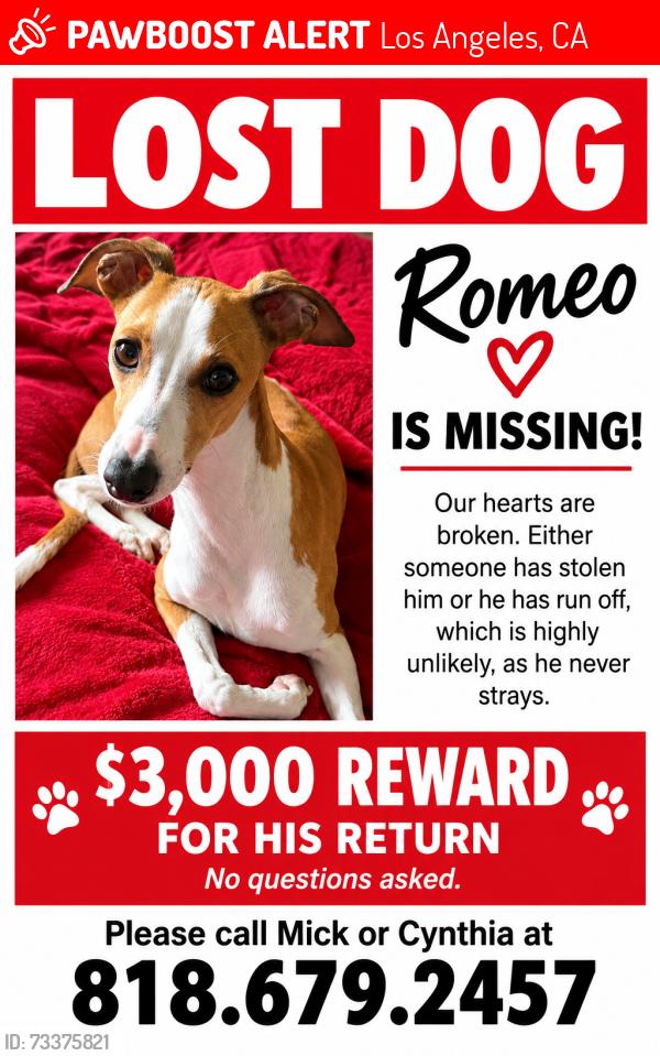 Lost Male Dog last seen Near Laurelcrest Dr., Studio City, Los Angeles, CA 91604