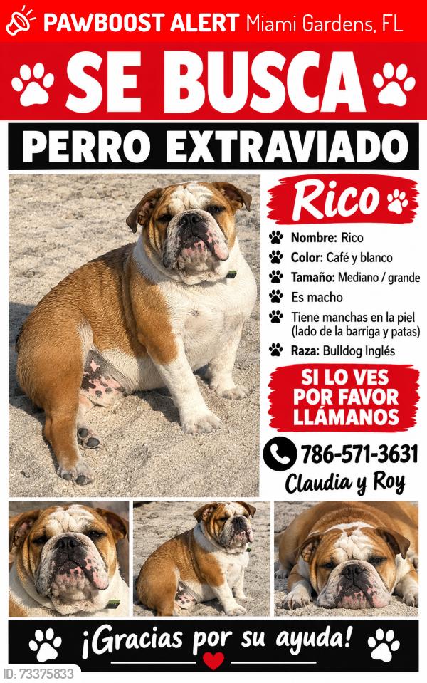 Lost Male Dog last seen Near nw 179 st Miami gardens 33056, Miami Gardens, FL 33056