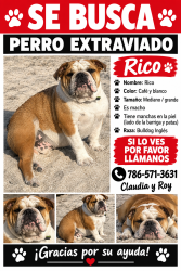 Lost Male Dog last seen Near nw 179 st Miami gardens 33056, Miami Gardens, FL 33056