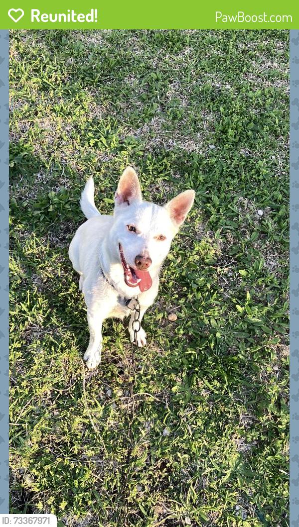 Reunited Male Dog last seen 3rd St Rosenberg Tx, Rosenberg, TX 77471