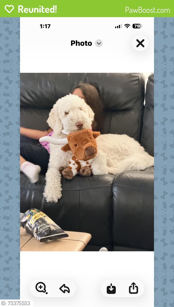 Reunited Female Dog last seen Mendonca and Barnett, San Diego, CA 92110