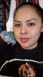 Lost Female Bird last seen Linn ave and jane st., Albuquerque, NM 87123