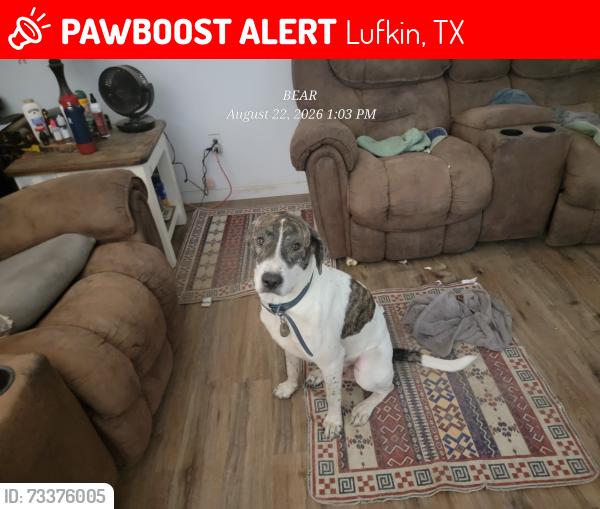 Lost Male Dog last seen Near old bonner rd, Lufkin, TX 75904