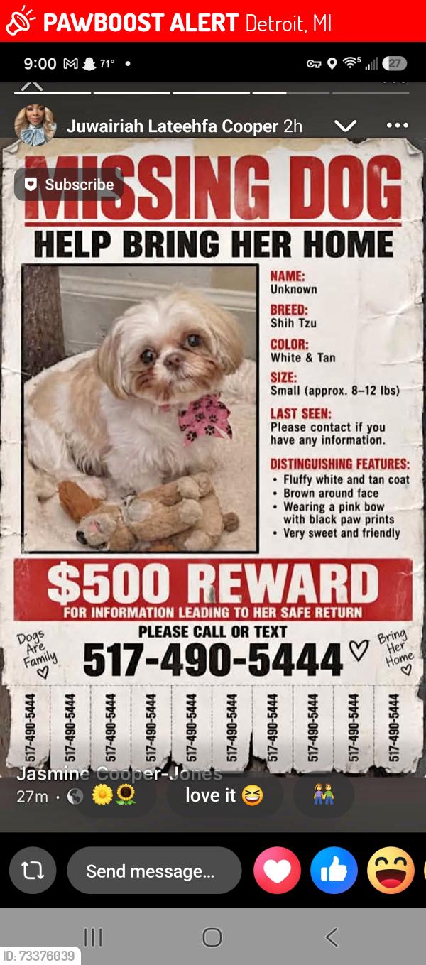 Lost Female Dog last seen Grand River and Kentfield St, Detroit, MI 48219
