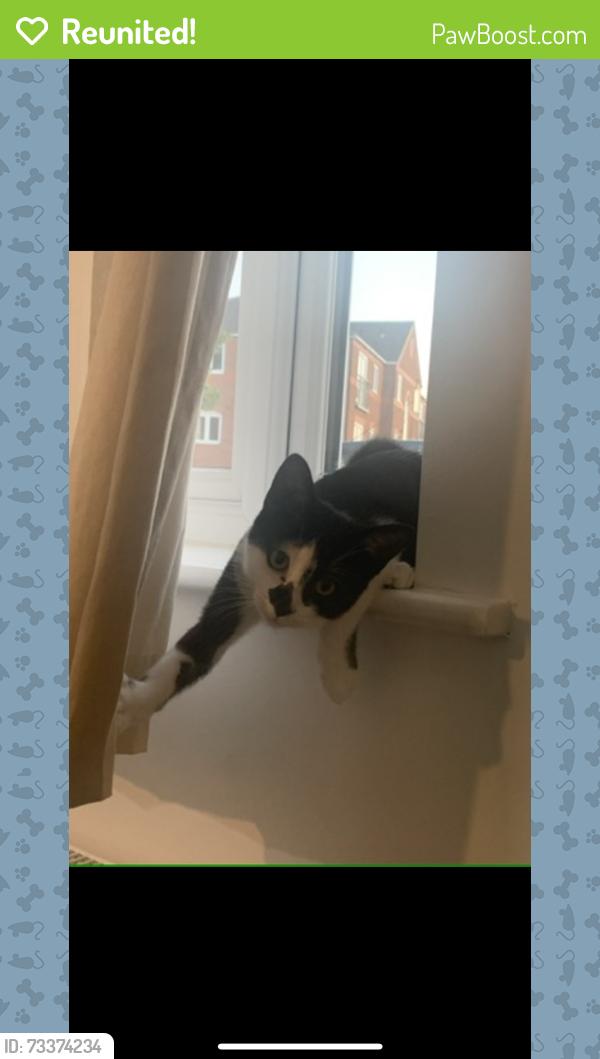 Reunited Male Cat last seen Butterfly Meadows, Kirkby in Ashfield, England 
