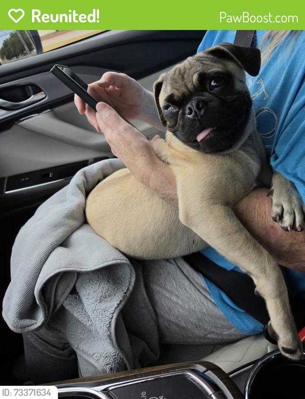 Reunited Male Dog last seen Near the corner of University and Fielder, Arlington, TX 76013