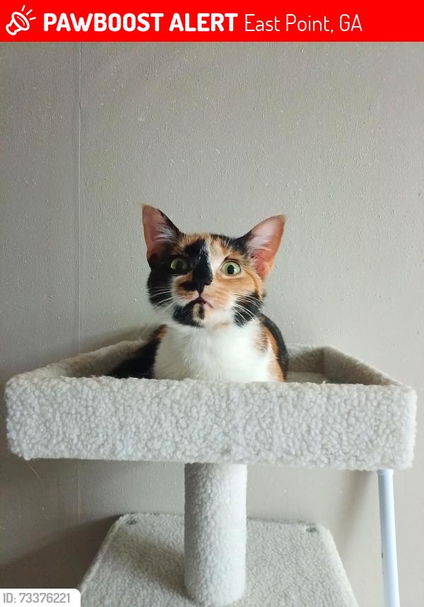 Lost Female Cat last seen Washington Rd, East Point, GA 30344