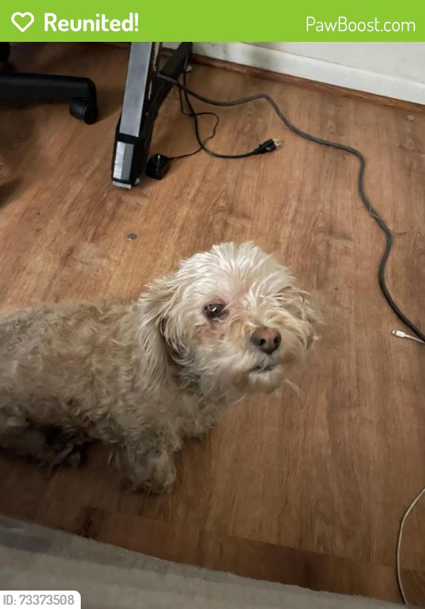 Reunited Female Dog last seen Near s 55th st, Temple, TX 76504