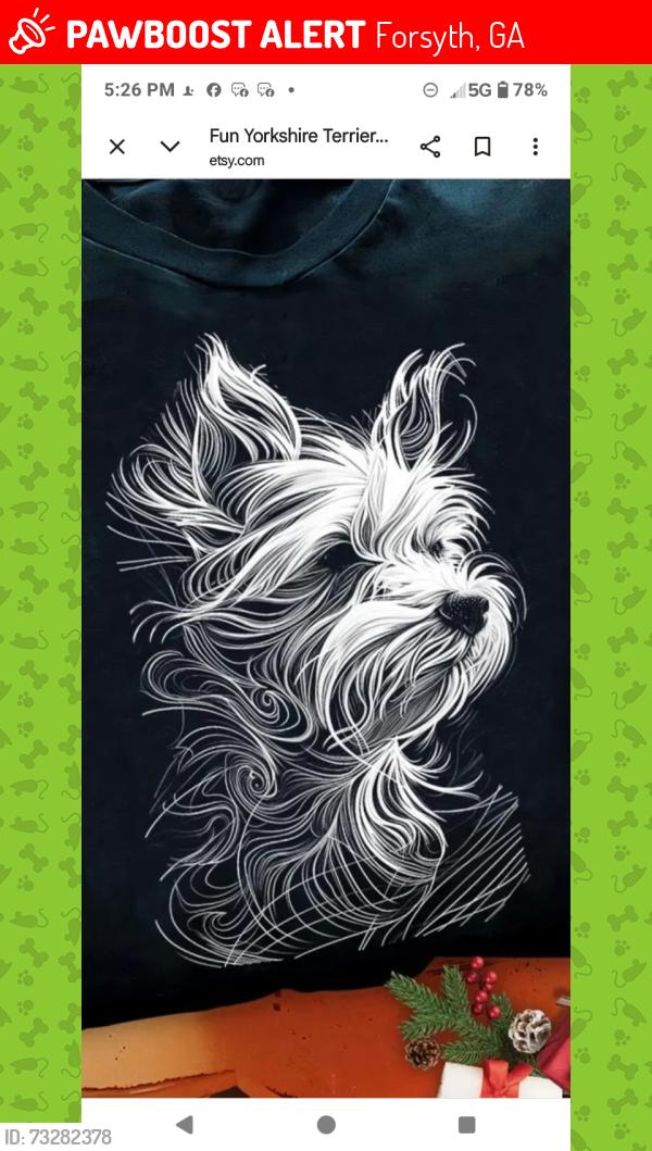 Lost Male Dog last seen Hwy 42. Shell station #966 in forsyth,ga., Forsyth, GA 31029