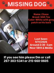 Lost Male Dog last seen 58th & Media st, Philadelphia, PA 19131