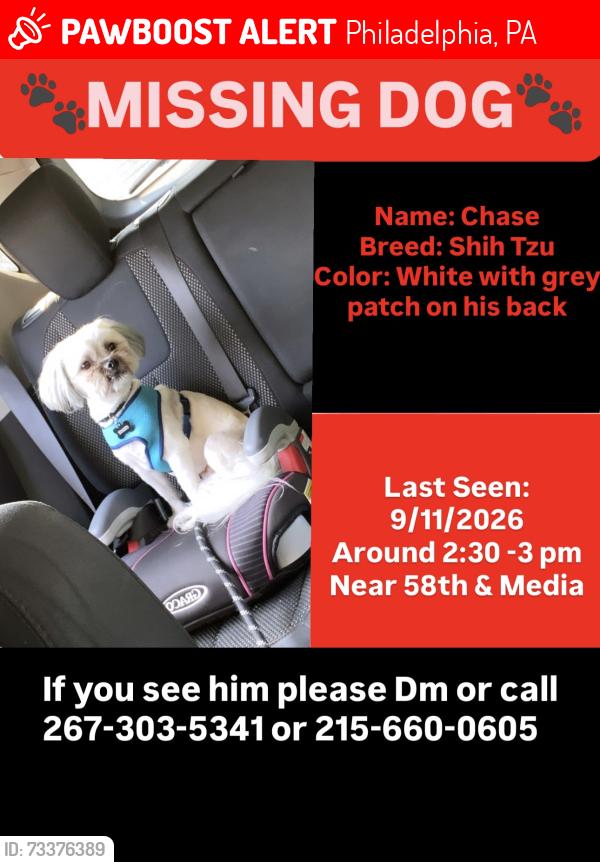 Lost Male Dog last seen 58th & Media st, Philadelphia, PA 19131