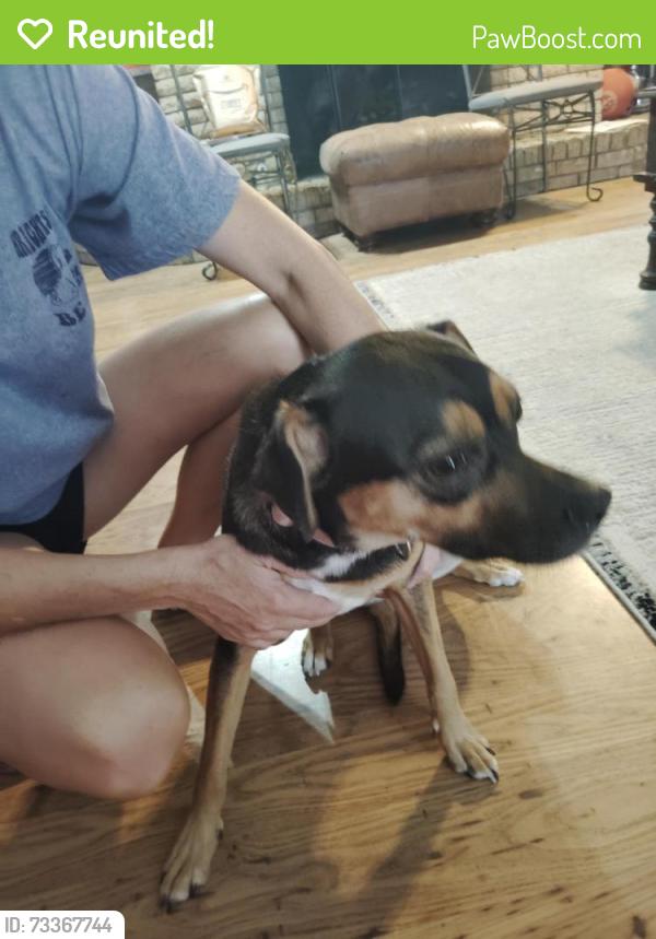 Reunited Female Dog last seen Bob And Colorado, North Richland Hills, TX 76180