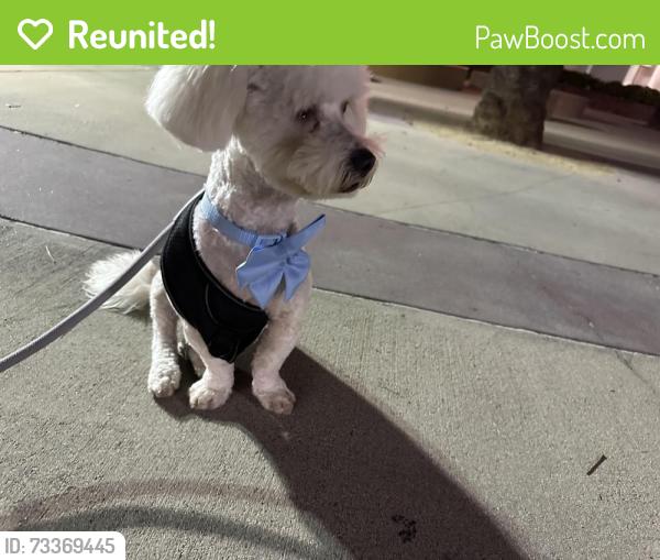Reunited Male Dog last seen Unknown, Azusa, CA 91702