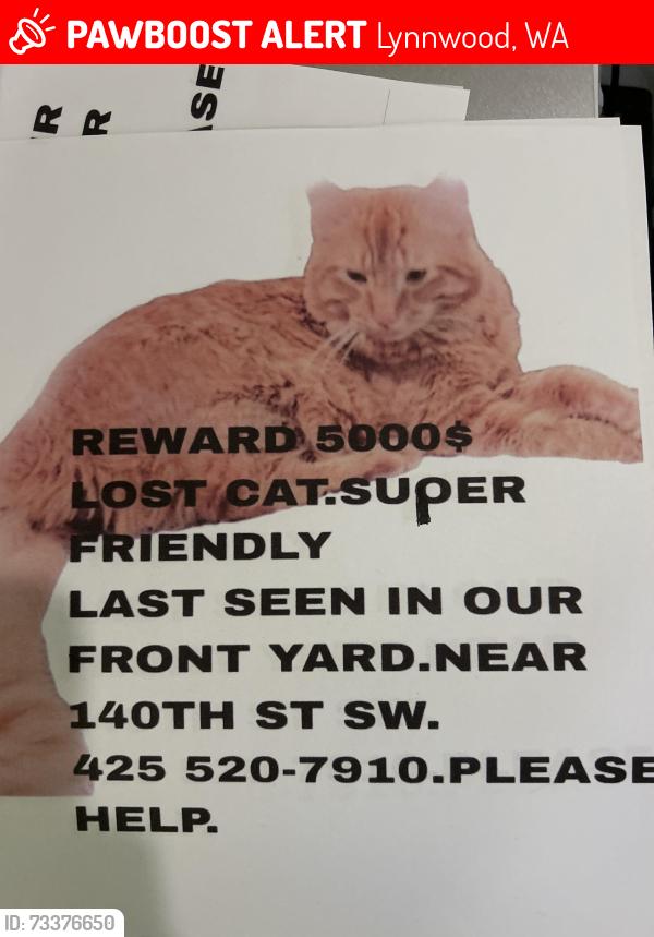 Lost Male Cat last seen Lake serene boat launch, Lynnwood, WA 98087