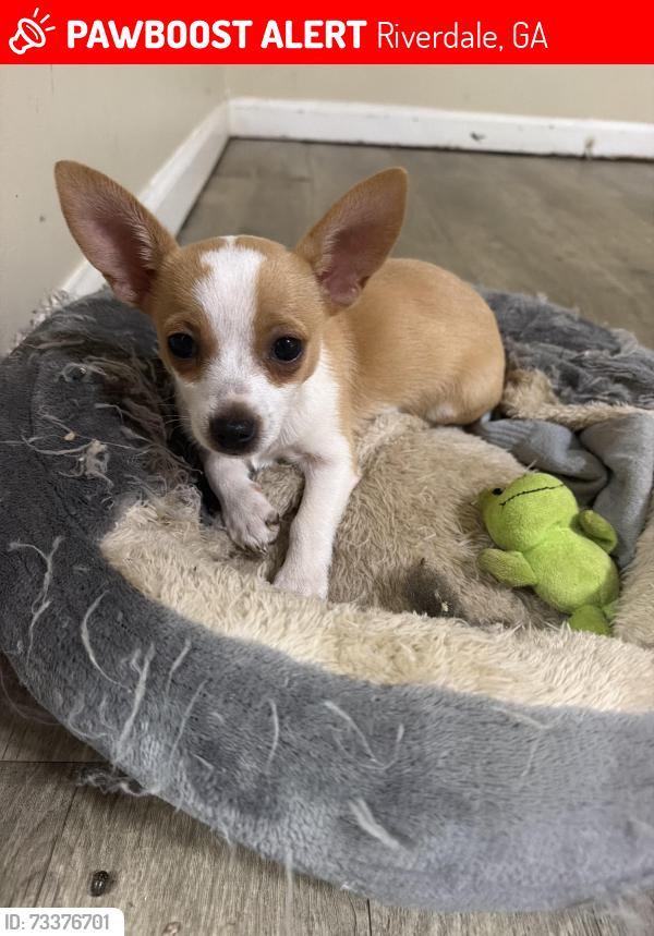 Lost Female Dog last seen Near greeenmar way ga, Riverdale, GA 30274