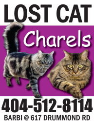 Lost Male Cat last seen Near fern bell park & Whitesburg school, Huntsville, AL 35802