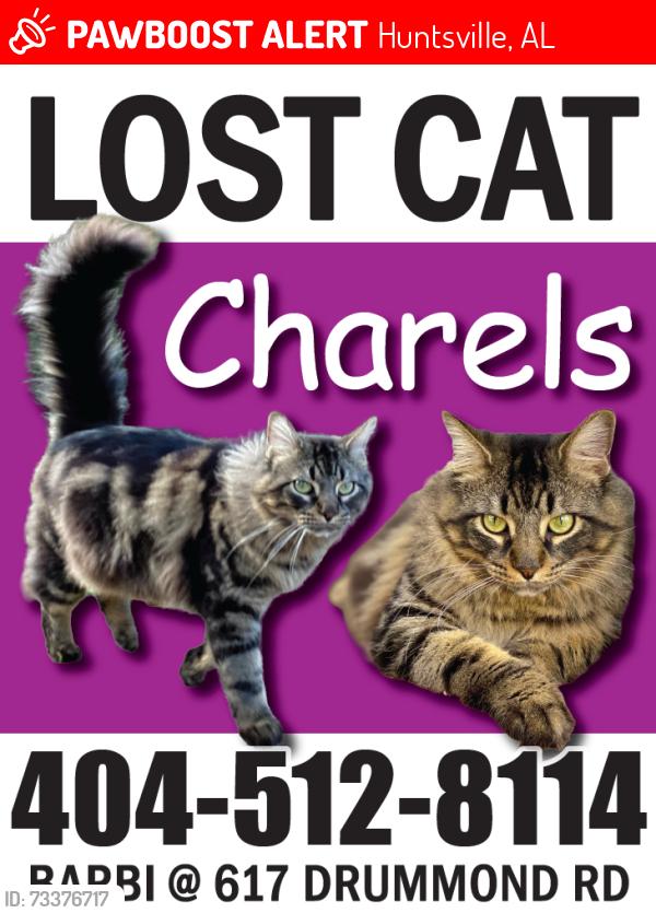 Lost Male Cat last seen Near fern bell park & Whitesburg school, Huntsville, AL 35802