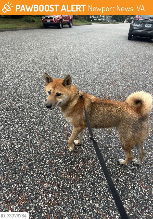 Found/Stray Male Dog last seen Kiln Creek Parkway, Newport News, VA 23602