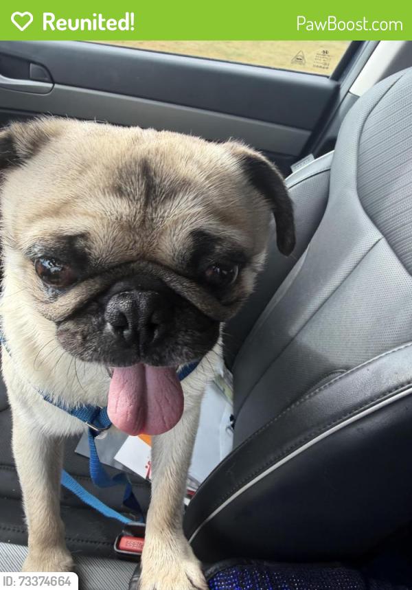 Reunited Male Dog last seen Taylorsville,ut 4000 w about 5900 south, Salt Lake City, UT 84129