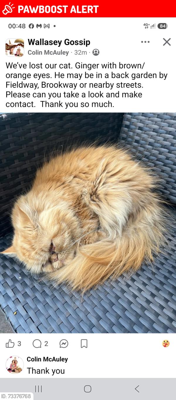 Lost Male Cat last seen Brookway, fieldway, broadway, Merseyside, England CH45 4SG