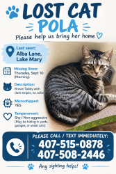 Lost Female Cat last seen Alba Lane Lake Mary, Lake Mary, FL 32746