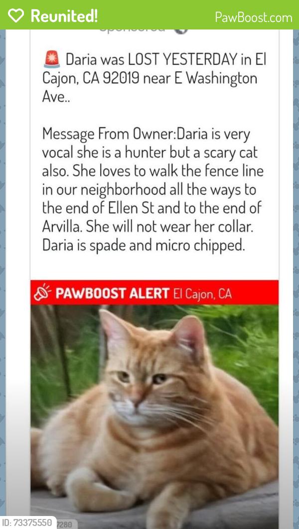 Reunited Female Cat last seen E Washington Ave., El Cajon, CA 92019