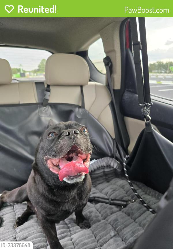 Reunited Male Dog last seen Cypress, Punta Gorda, FL 33950