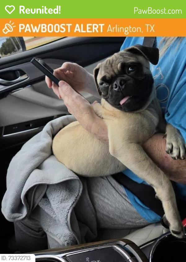 Reunited Male Dog last seen University & Fielder in Arlington, TX, Arlington, TX 76013